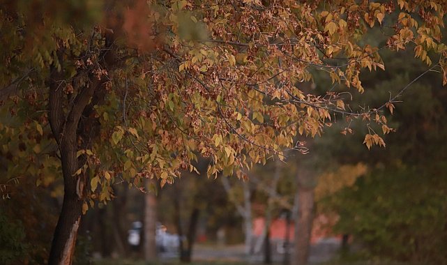 Medeniyetler geçidi Ağrı'da iki mevsim bir arada