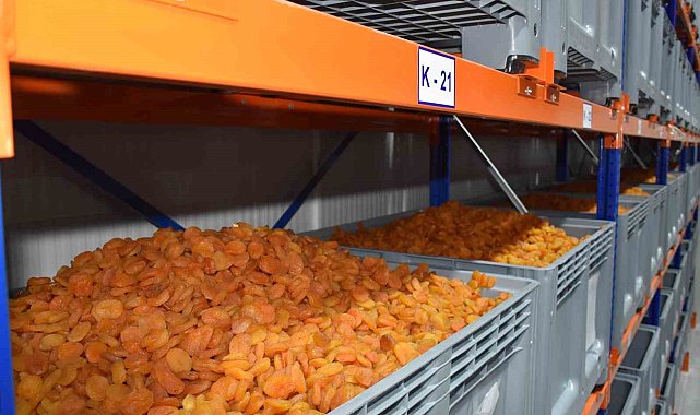MTB Başkanı Özcan: "Kayısı ihracatında 100 bin tonu hedefliyoruz"