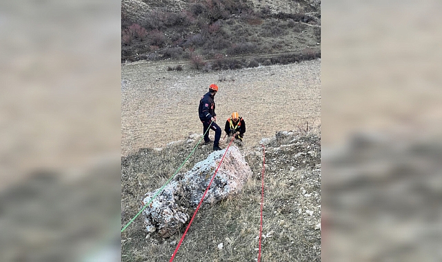 Muş'ta kayalıkta mahsur kalan keçiler kurtarıldı