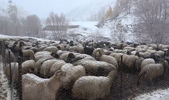 Muş'ta kar yağışı etkili oldu