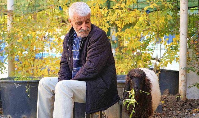 Muş'ta sıcak bir dostluk: Maşallah Aslan ve 'Fulya'nın hikayesi yürekleri ısıttı