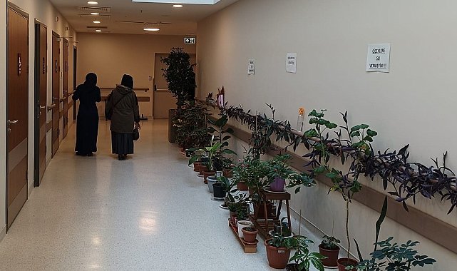 Onkoloji hastalarının motivasyonunu artırmak için koridora botanik bahçe oluşturuldu