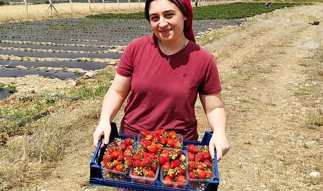 Tatlısu köyü, Çileğin merkezi olacak