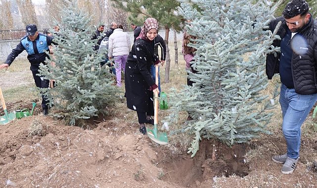 Tercan'da geleceğe nefes için fidan dikildi