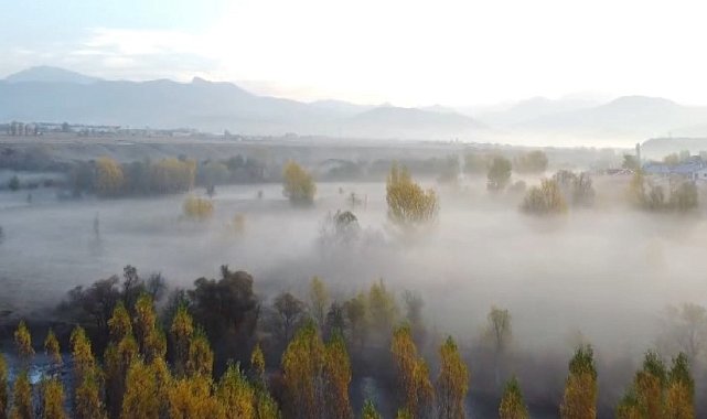 Tunceli'de 'sis' şöleni