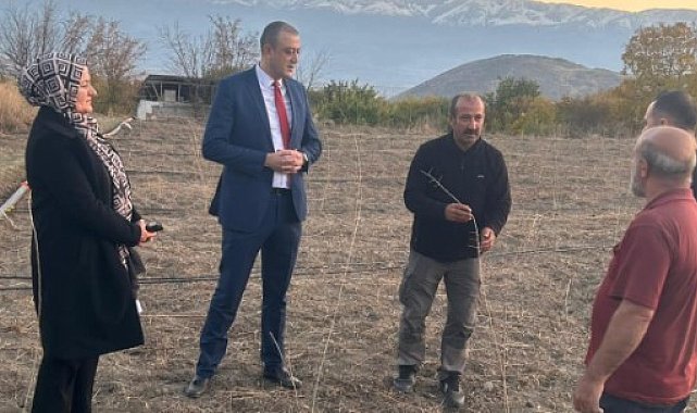 Üzümlü'de goji berry yetişecek
