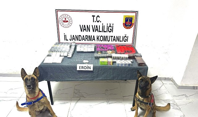 Van'da gümrük kaçakçılığı operasyonları
