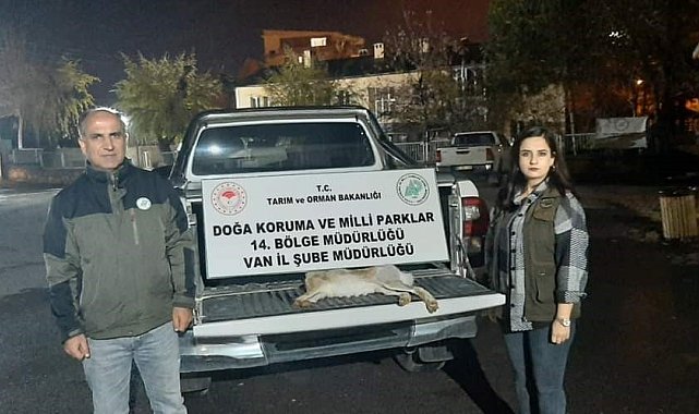 Van'da yasadışı avlanan şahsa 11 bin lira caza