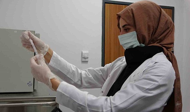 Van'daki "Tüp Bebek Merkezi" çiftlere umut olmaya başladı