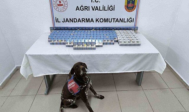Ağrı'da yol kontrolünde 2 bin paket kaçak sigara ele geçirildi