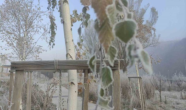 Ardahan'da Sibirya soğukları etkili oluyor