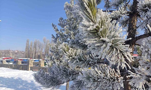 Ardahan'da Sibirya soğukları