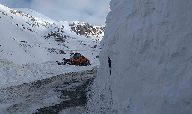 Bahçesaray yoluna düşen çığ bölgeleri temizleniyor