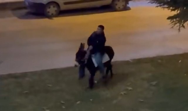Caddede eşekle gezinti renkli görüntüler oluşturdu