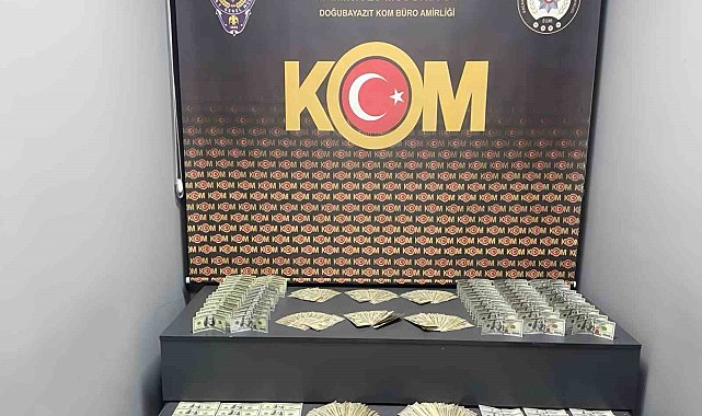 Doğubayazıt'ta 18 bin 700 sahte dolar ele geçirildi