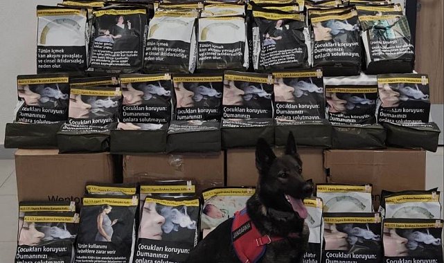 Elazığ'da 85 kilo tütün ele geçirildi