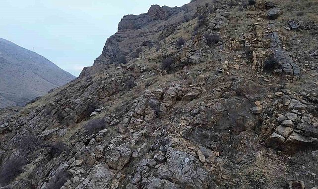 Elazığ'da dağ keçileri dronla görüntülendi