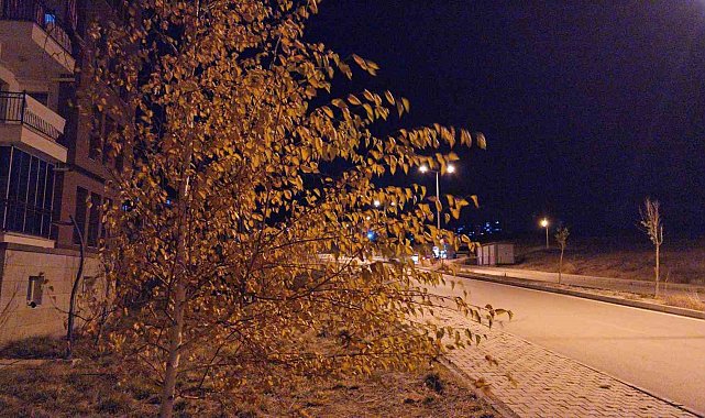 Elazığ'da etkili olan fırtına vatandaşlara zor anlar yaşattı