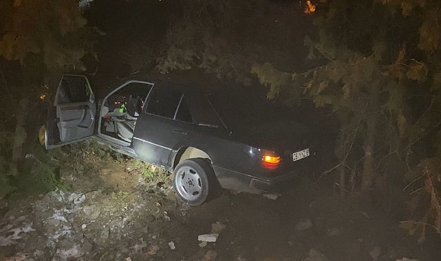 Elazığ'da otomobil, ağaçlara çarptı: 4 yaralı