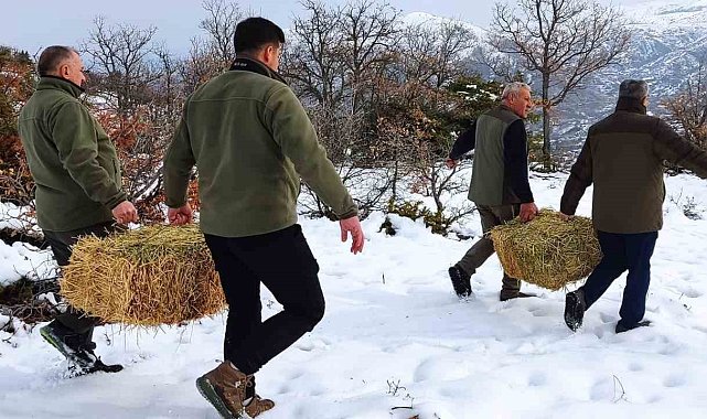 Elazığ'da yaban hayvanları için doğaya yem bırakıldı