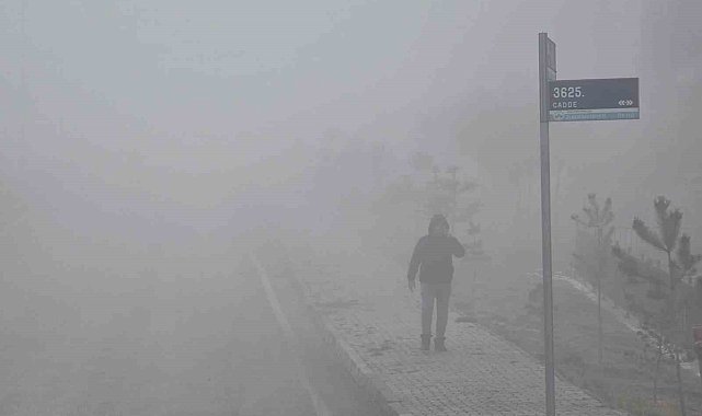 Elazığ'da yoğun sis etkili oldu, bir mahalle adeta kayboldu