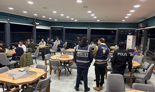 Erciş'te jandarma ve polisten eş zamanlı denetim