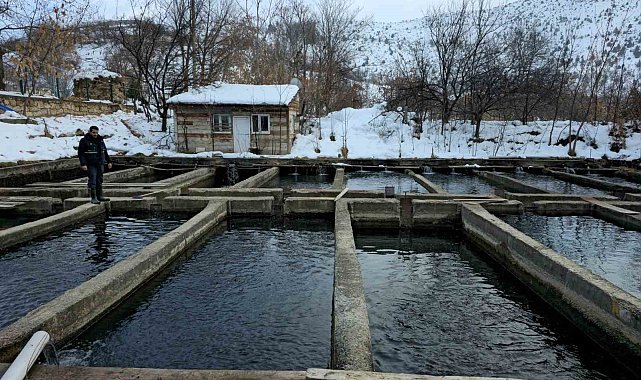 Erzincan'da tesis ve kuluçkahane denetimler sürüyor