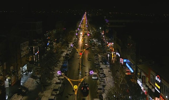 Erzincanlıların başı kargalarla dertte
