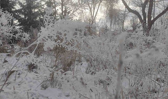 Göle'de hayat dondu, eksi 22 derece