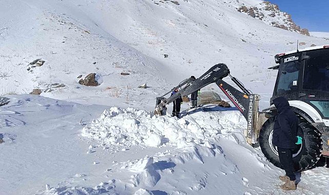 Hakkari 3 bin 500 rakımda zorlu çalışma