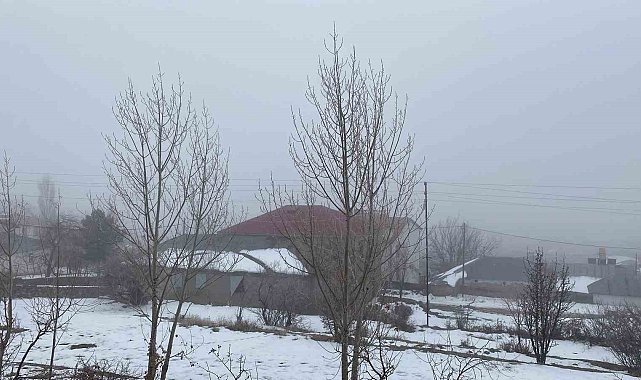 Karlıova'da sis etkili oldu