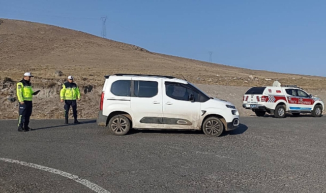 Kars'ta 609 araç denetlendi
