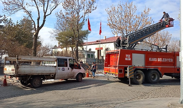 Kars'ta asırlık ağaçlara kış budaması yapılıyor