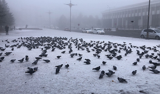 Kars’ta vatandaşlar güvercinleri unutmuyor