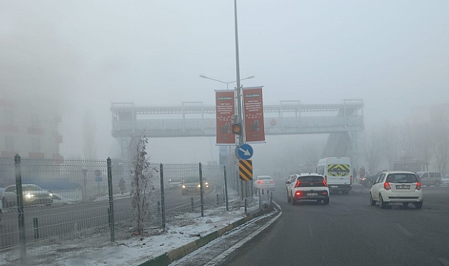 Kars'ta yoğun sis hayatı olumsuz yönde etkiliyor 