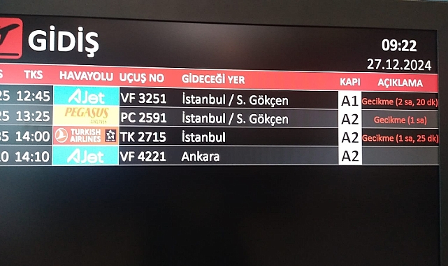 Kars'ta yoğun sis hava ulaşımını olumuz etkiliyor