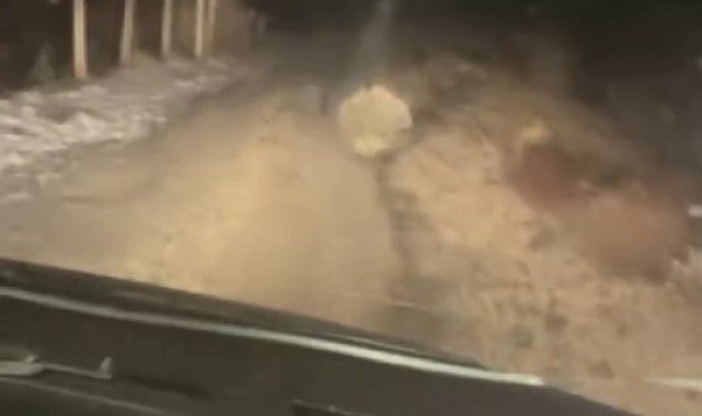 Koruma altındaki oklu kirpi Elazığ'da görüntülendi