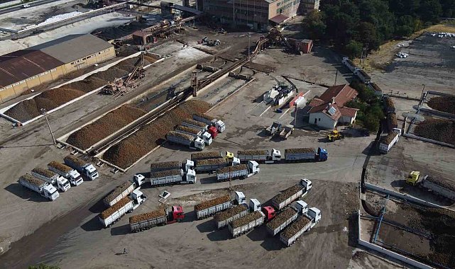 Malatya Şeker Fabrikası'nda 470 bin ton pancar işlendi