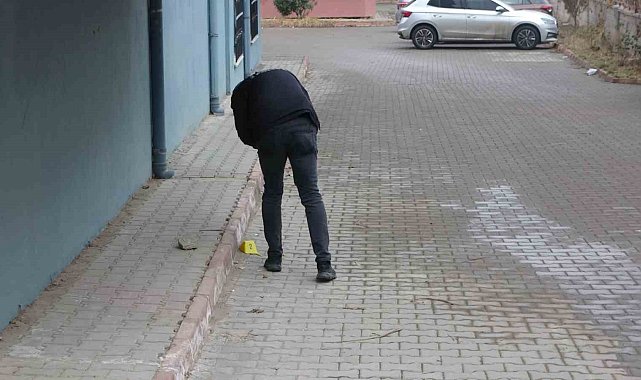 Malatya'daki cinayetin zanlısı yakalandı