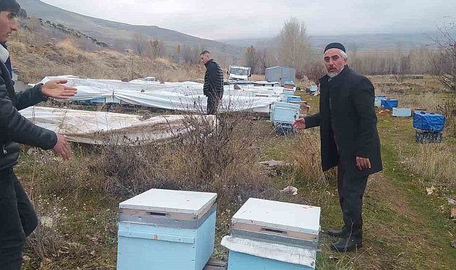 Muradiye'de ayılar kovanlara ve kümes hayvanlarına saldırdı