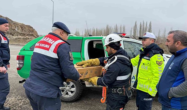 Muş'ta elektrik tellerine sıkışan puhu kuşu kurtarıldı