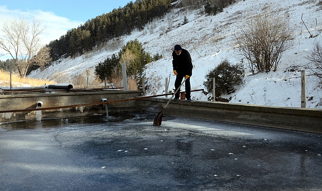 Sarıkamış'ta çiftliklerdeki balık havuzları buzla kaplandı