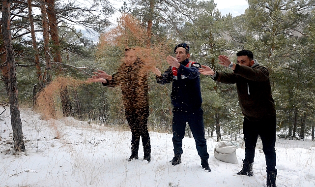 Sarıkamış'ta yaban hayvanları için doğaya yem bırakıldı