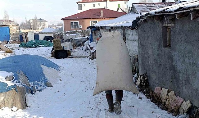Sibirya soğukları Ağrı'da yaşamı felç etti