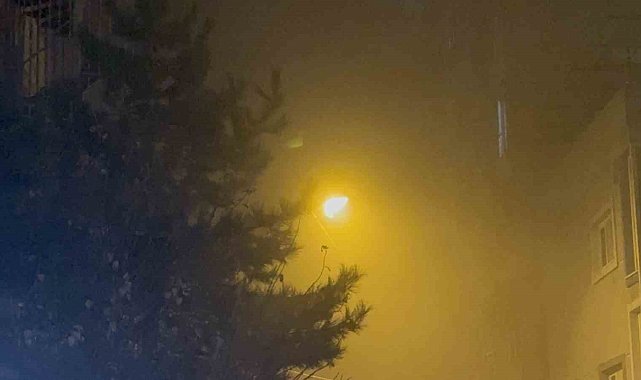 Tatvan'da yoğun sis etkili oldu