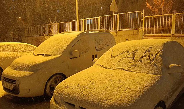 Van'da yoğun kar yağışı etkili oluyor