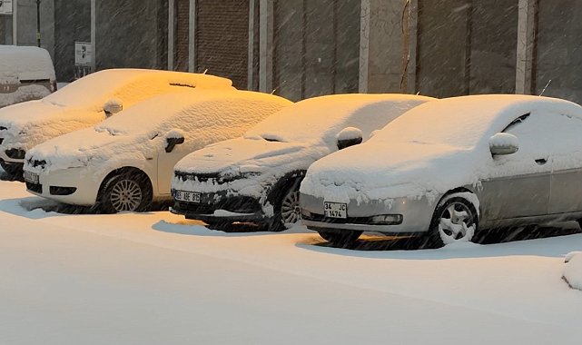 Yüksekova'da lapa lapa kar yağışı başladı