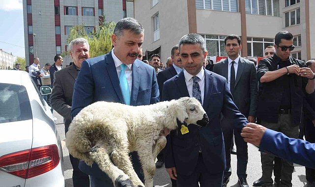 7 bin 311 araçta 257 bin hayvana kontrol