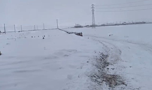 Adilcevaz'da karla mücadele çalışması devam ediyor