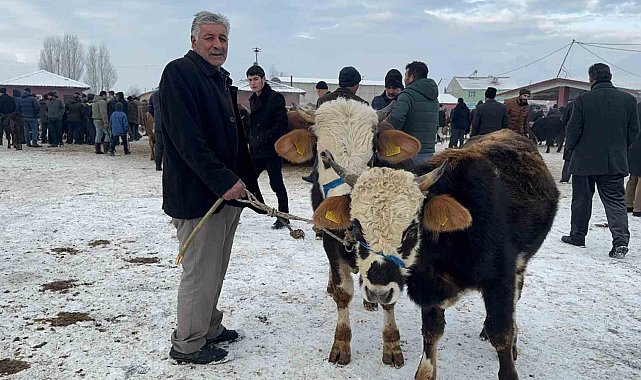 Ağrı Hayvan Pazarı'nda dondurucu soğuk çileye dönüştü